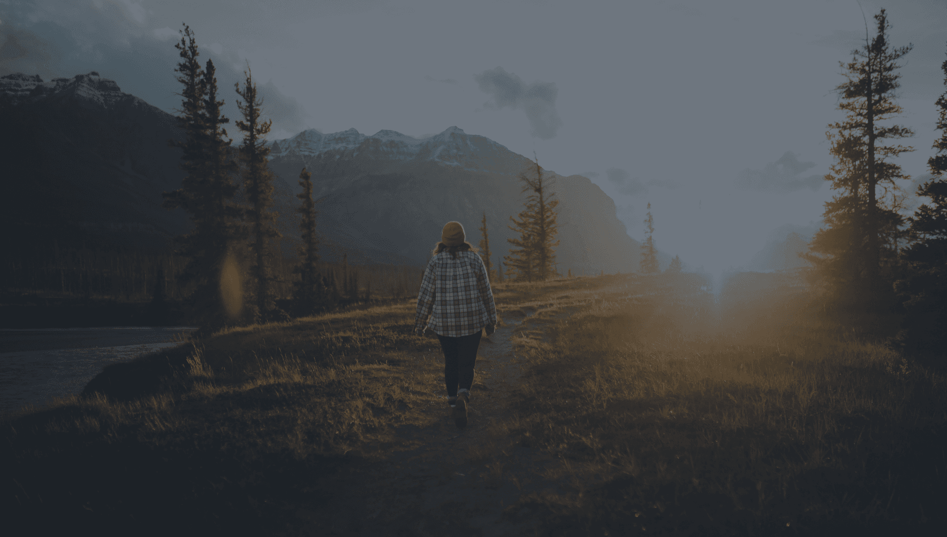Online therapy for PTSD trauma recovery