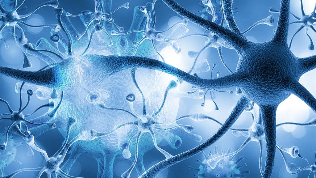 Neural pathways targeted by TMS therapy
