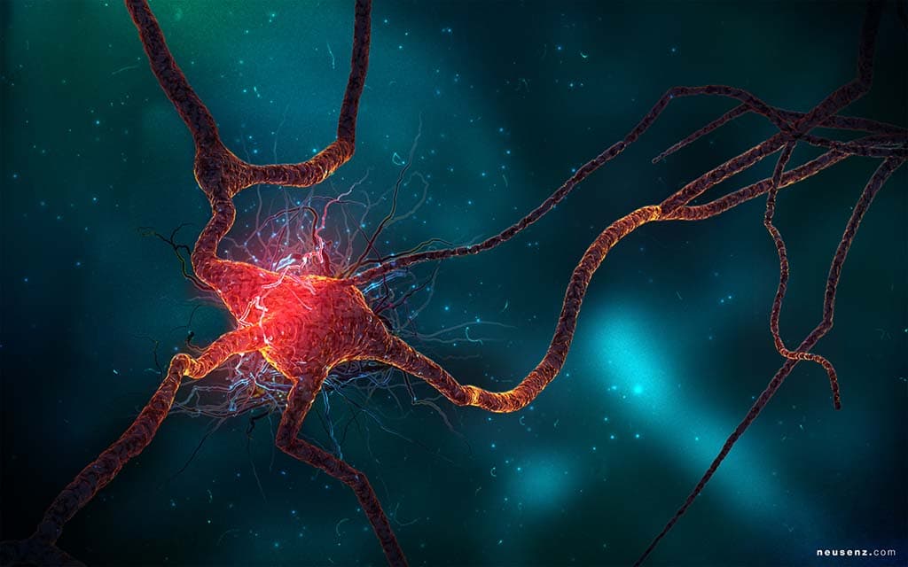 Parkinson's Disease