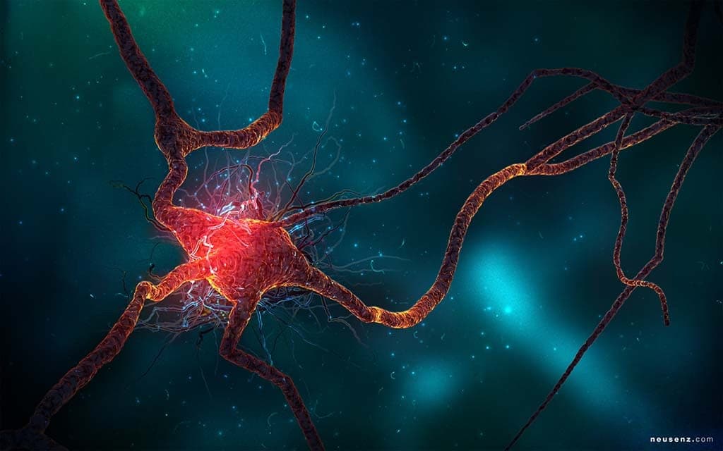 Parkinson's Disease